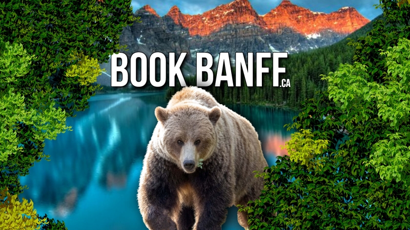 Banff Sight Seeing